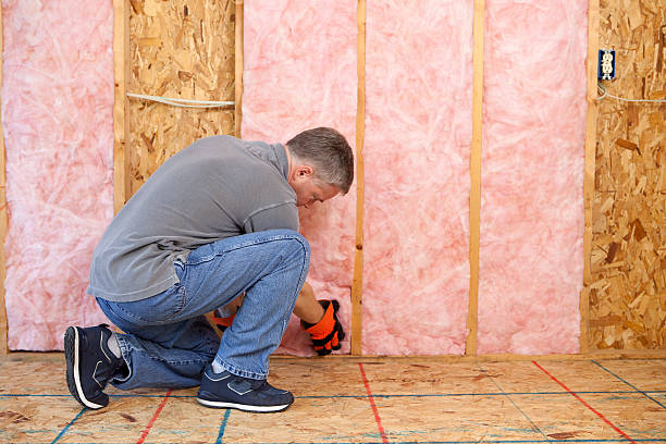 Best Types of Insulation in La Crosse, WI